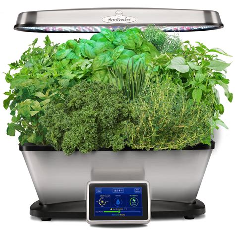 Meet the <strong>AeroGarden® Bounty Elite</strong>, a sleek, stainless steel indoor garden that allows you to grow up to 9 different herbs, veggies, or flower varieties up to 24" high. . Aerogarden bounty elite